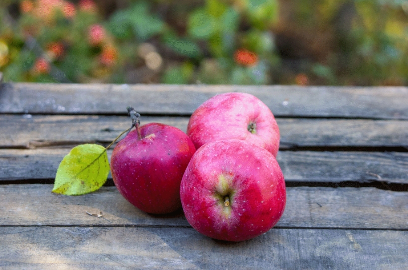 Rosenapfel vom Schönbuch